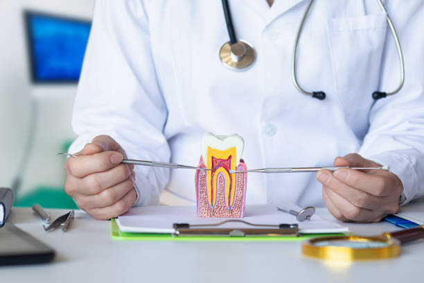 Best Chipped Tooth Repair Near Me  in Hamburg, IA